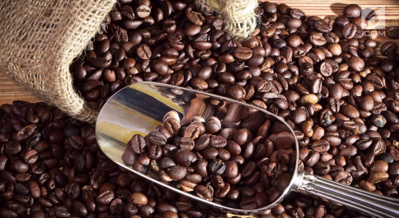 Kopi Robusta Karesidenan Kedu